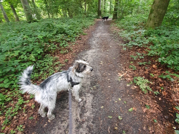 Hannes und Lula