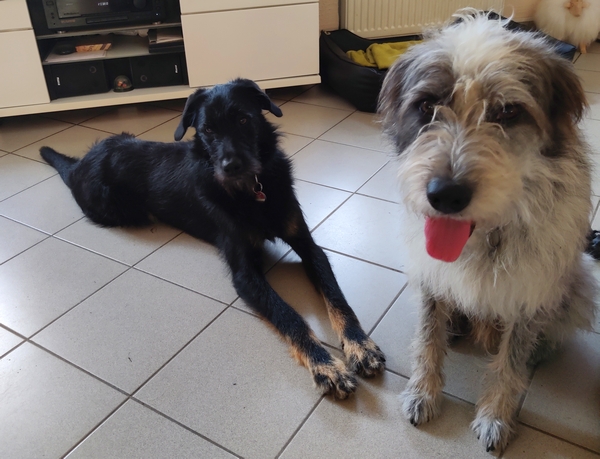 Hannes und Lula