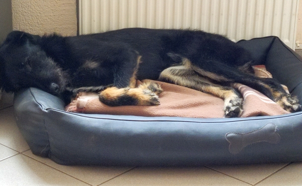 Hannes und Lula