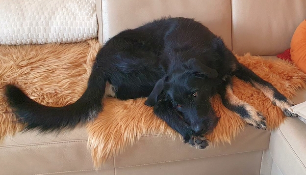Hannes und Lula