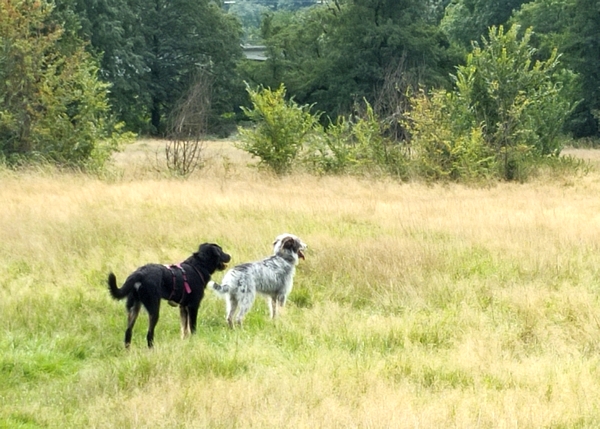 Hannes und Lula