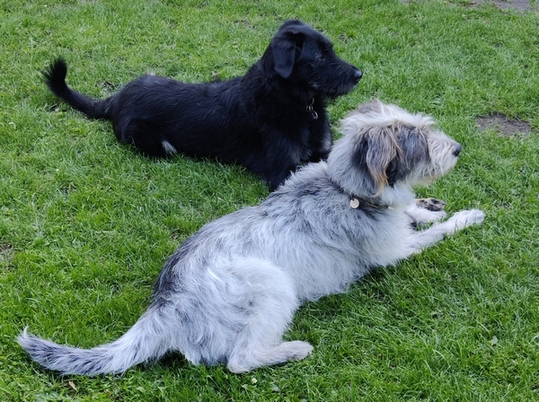 Hannes und Lula