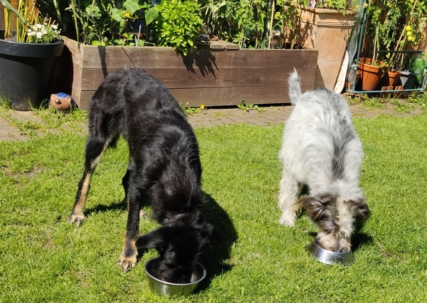 Hannes und Lula