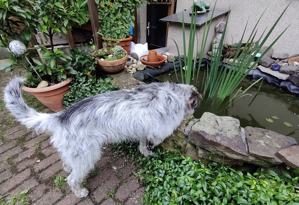 Hannes und Lula