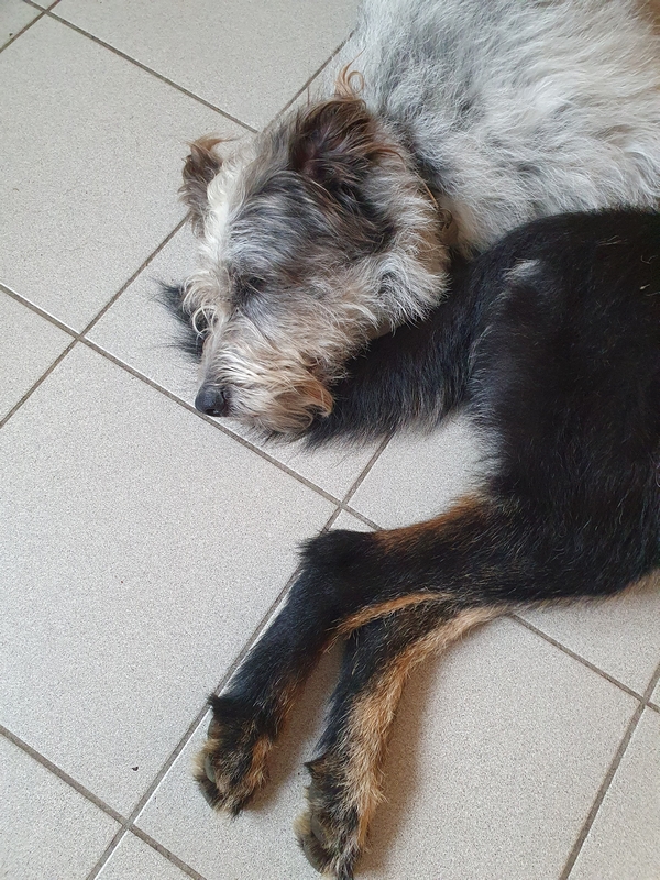 Hannes und Lula