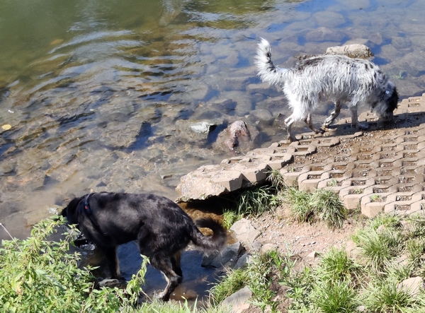 Hannes und Lula