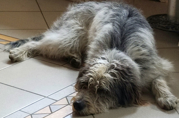 Hannes und Lula