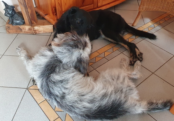 Hannes und Lula