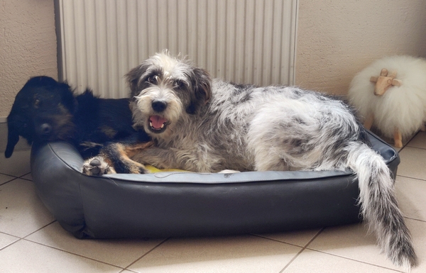 Hannes und Lula
