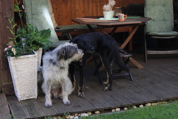 Hannes und Lula