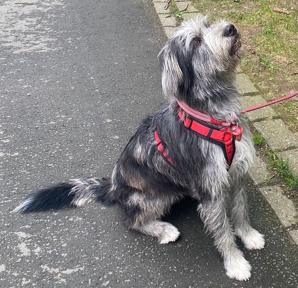 Geschichten von Hannes und Lula Geschichten von Hannes und Lula