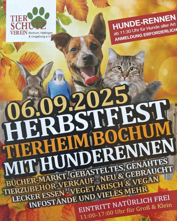 Geschichten von Hannes und Lula Geschichten von Hannes und Lula