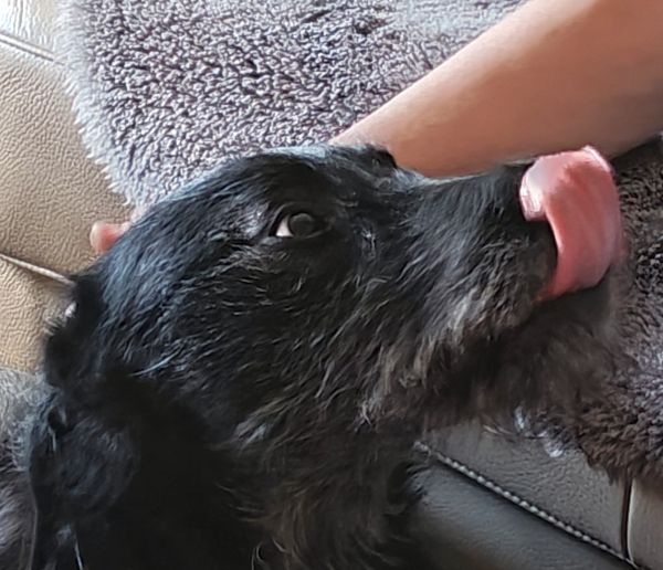 Geschichten von Hannes und Lula Geschichten von Hannes und Lula