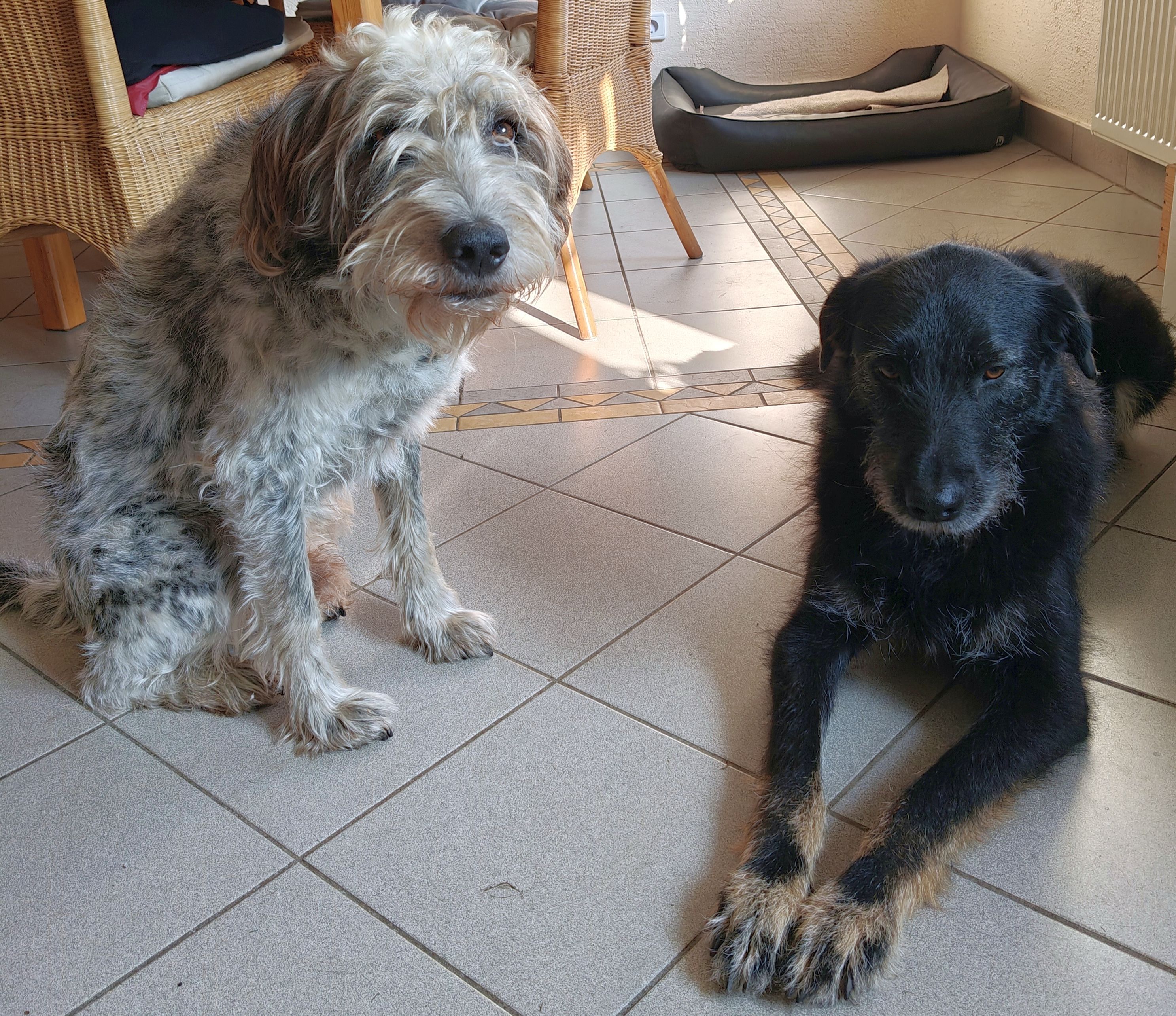 Geschichten von Hannes und Lula Geschichten von Hannes und Lula