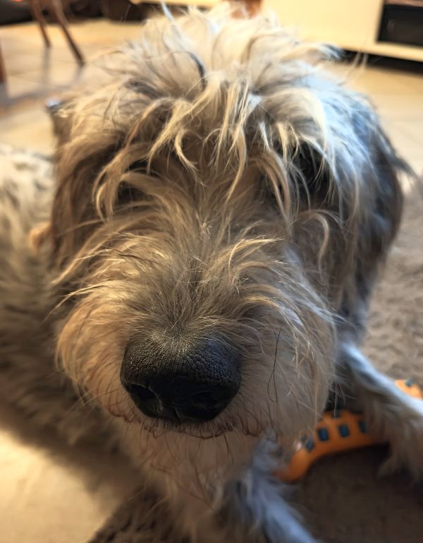 Geschichten von Hannes und Lula Geschichten von Hannes und Lula