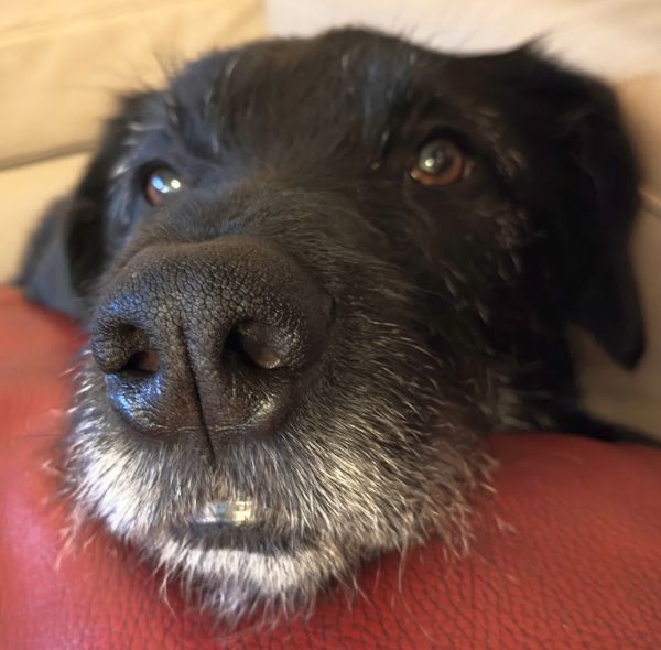 Geschichten von Hannes und Lula Geschichten von Hannes und Lula