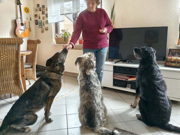 Geschichten von Hannes und Lula Geschichten von Hannes und Lula