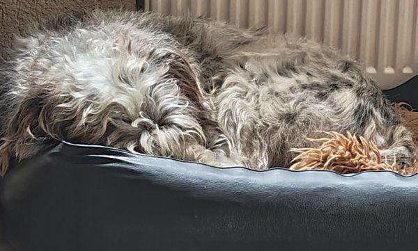 Hannes und Lula Hannes und Lula