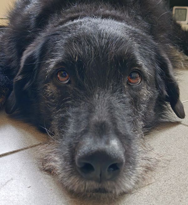 Hannes und Lula Hannes und Lula