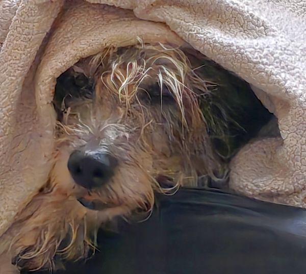 Hannes und Lula Hannes und Lula