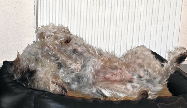 Hannes und Lula Hannes und Lula