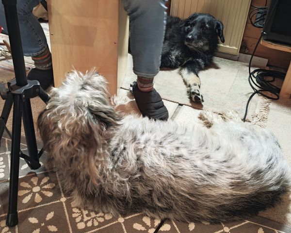 Hannes und Lula Hannes und Lula