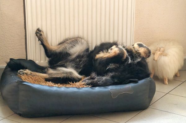 Hannes und Lula Hannes und Lula