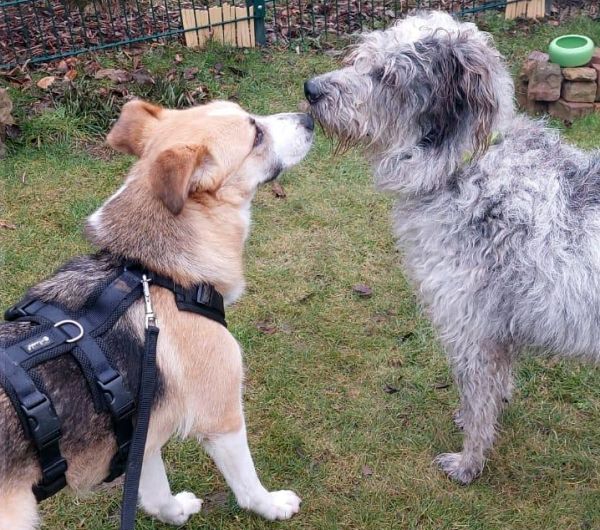 Hannes und Lula Hannes und Lula