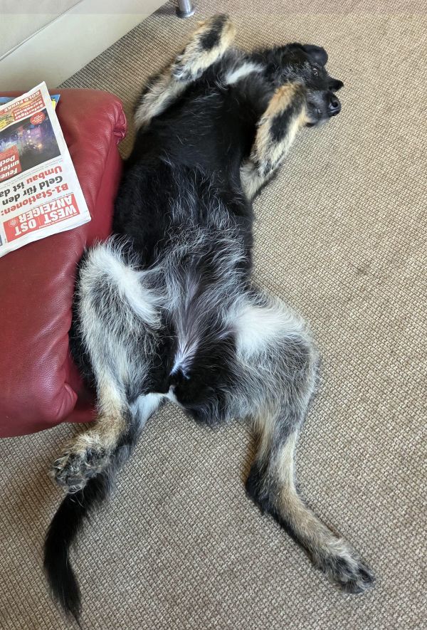 Hannes und Lula Hannes und Lula