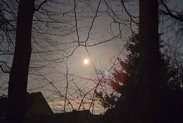 Hannes und Lula Hannes und Lula