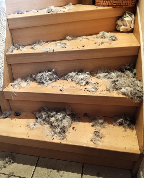 Hannes und Lula Hannes und Lula