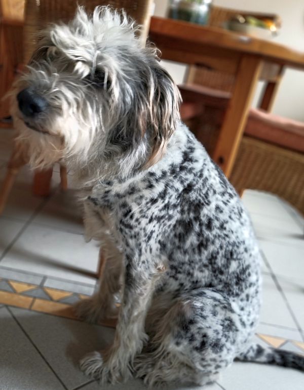 Hannes und Lula Hannes und Lula