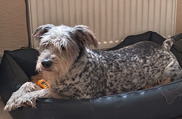 Hannes und Lula Hannes und Lula