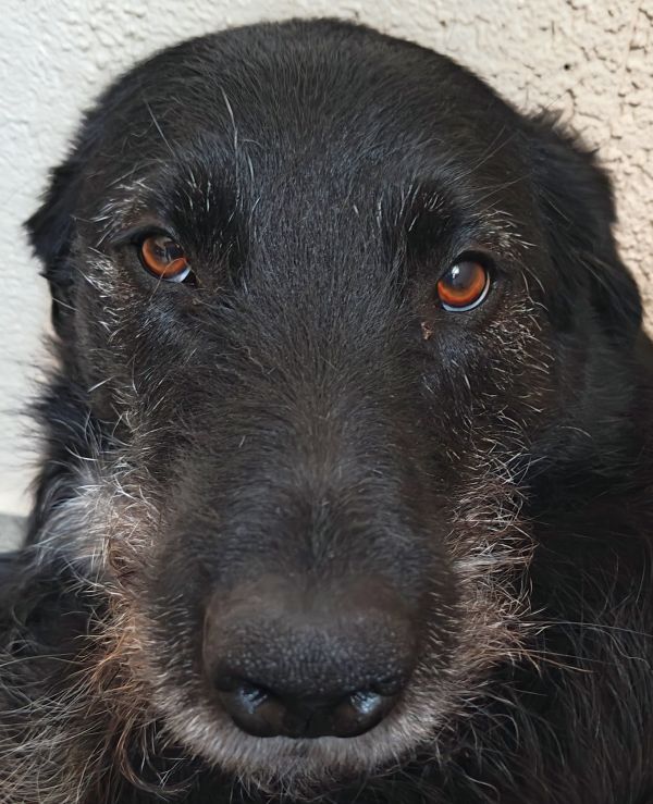 Hannes und Lula Hannes und Lula