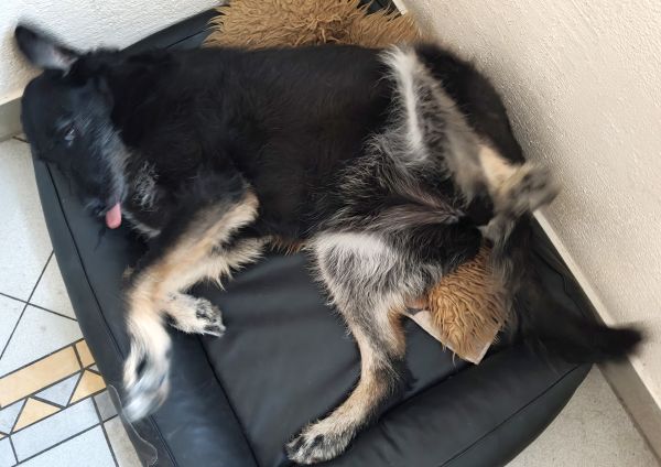 Hannes und Lula Hannes und Lula