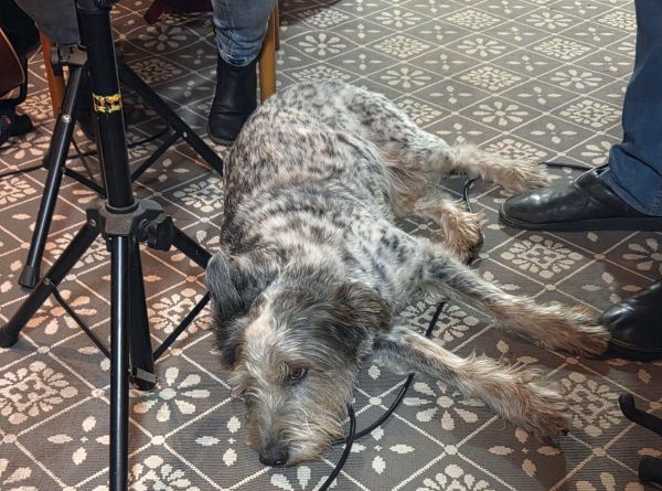 Hannes und Lula Hannes und Lula