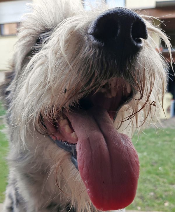 Hannes und Lula Hannes und Lula