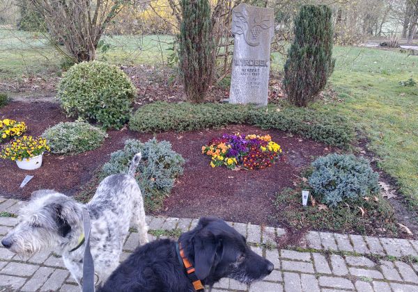 Hannes und Lula Hannes und Lula