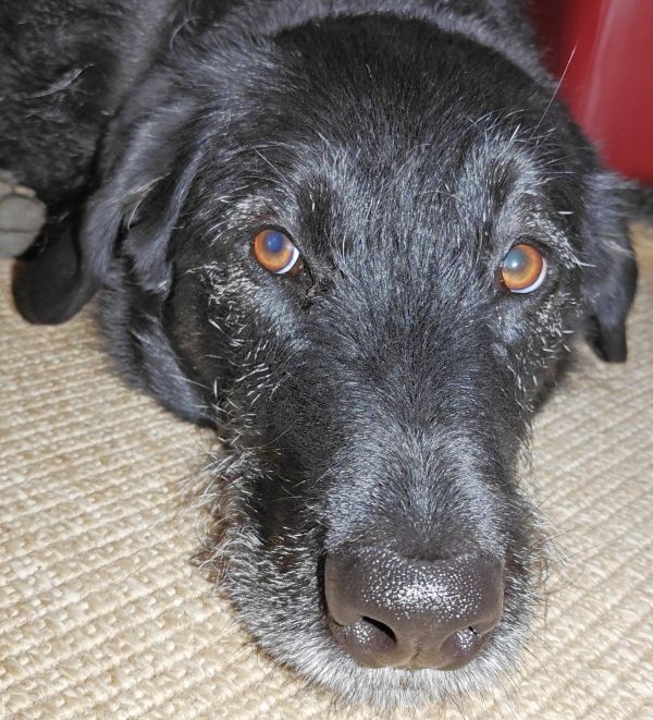 Hannes und Lula Hannes und Lula