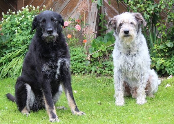 Hannes und Lula Hannes und Lula