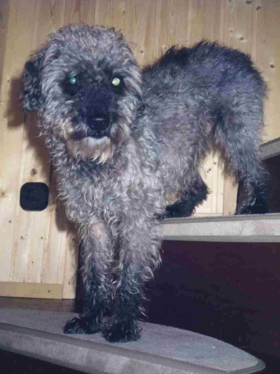 Kaspar