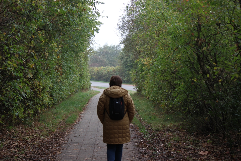 Texel im Herbst 2016