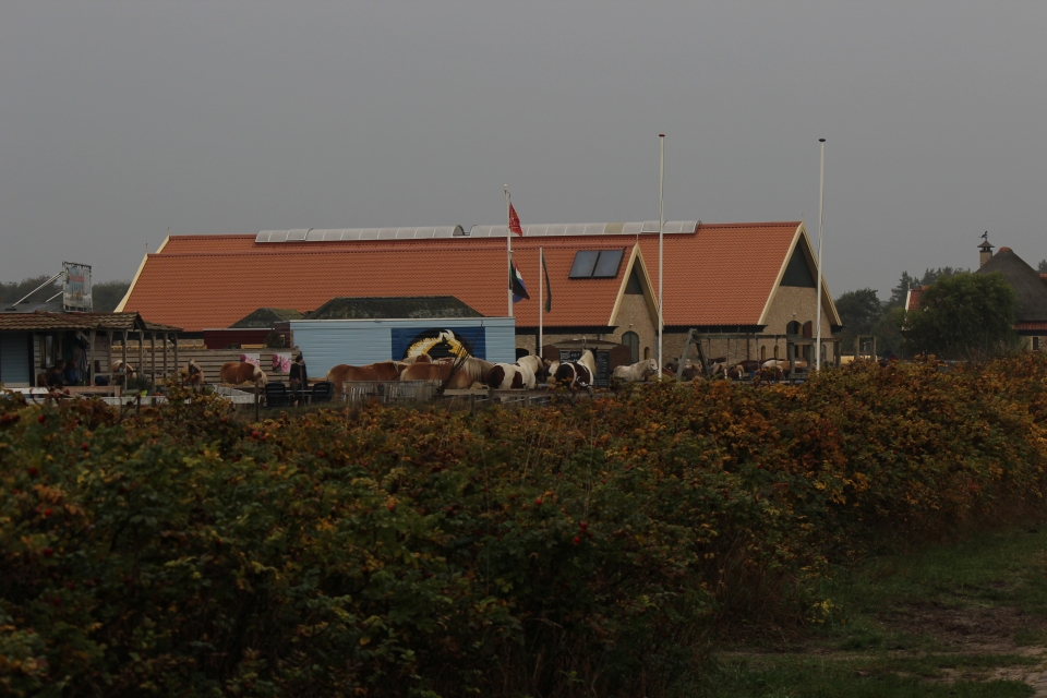 Texel im Herbst 2016