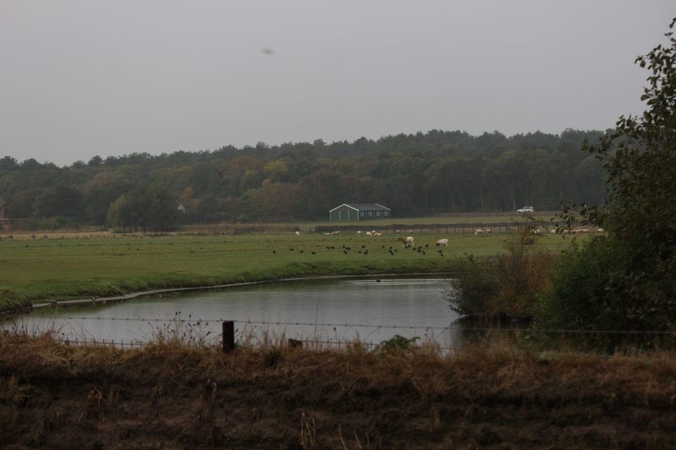 Texel im Herbst 2016