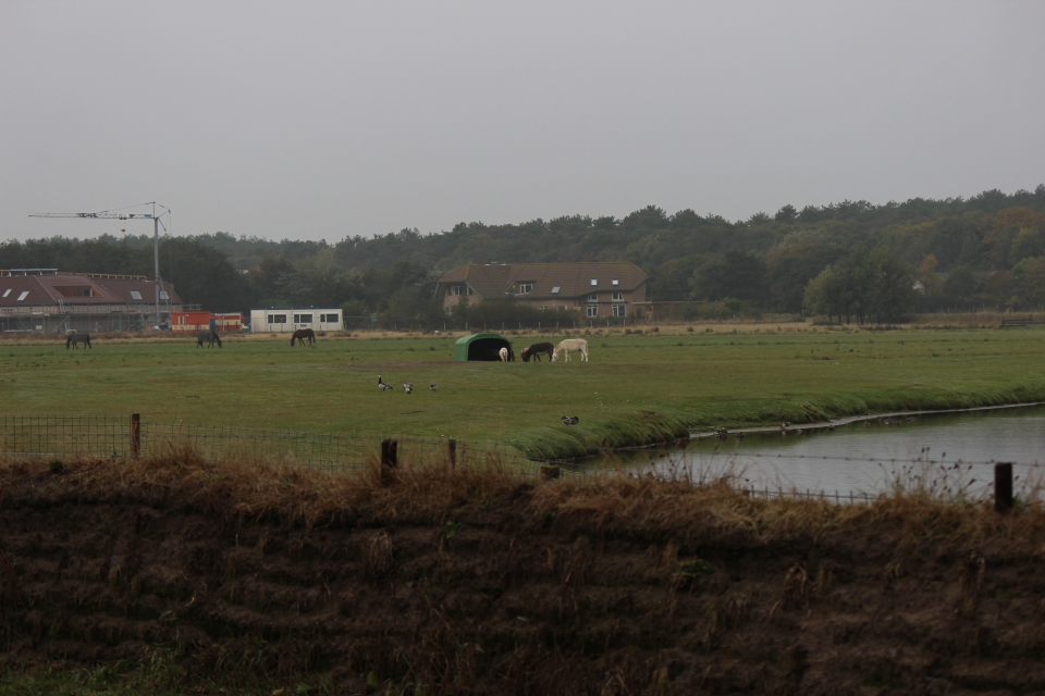 Texel im Herbst 2016