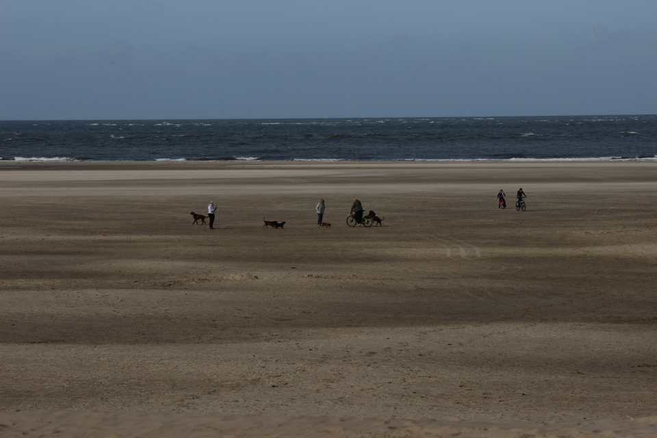 Texel im Herbst 2016