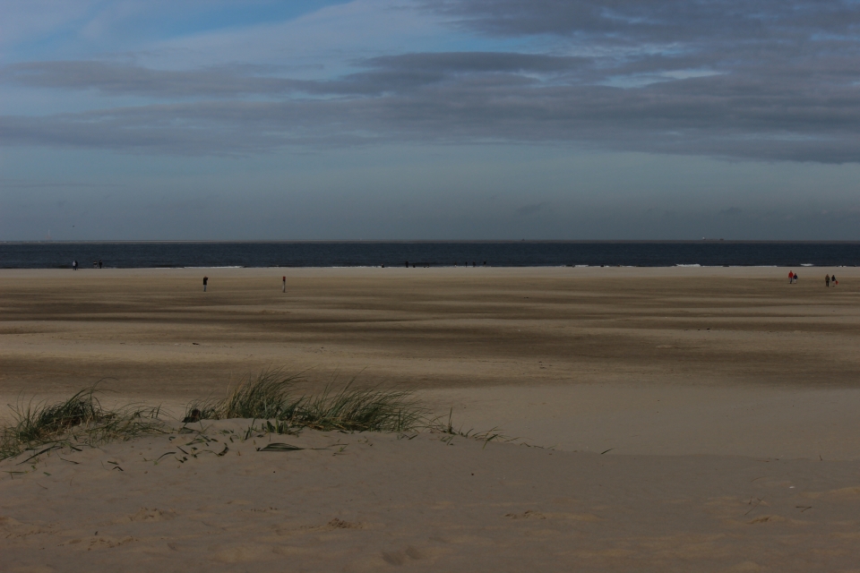 Texel im Herbst 2016