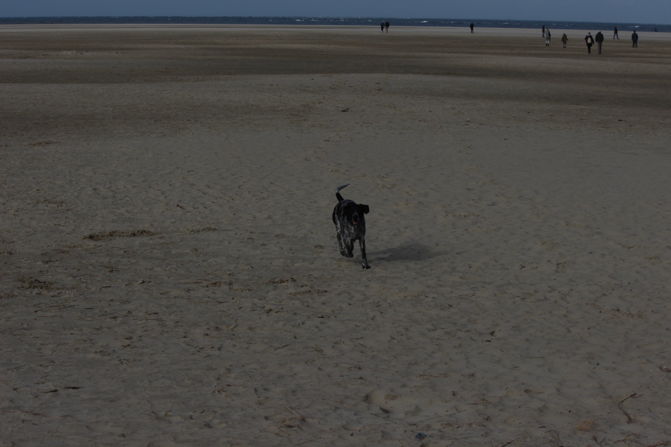 Texel im Herbst 2016