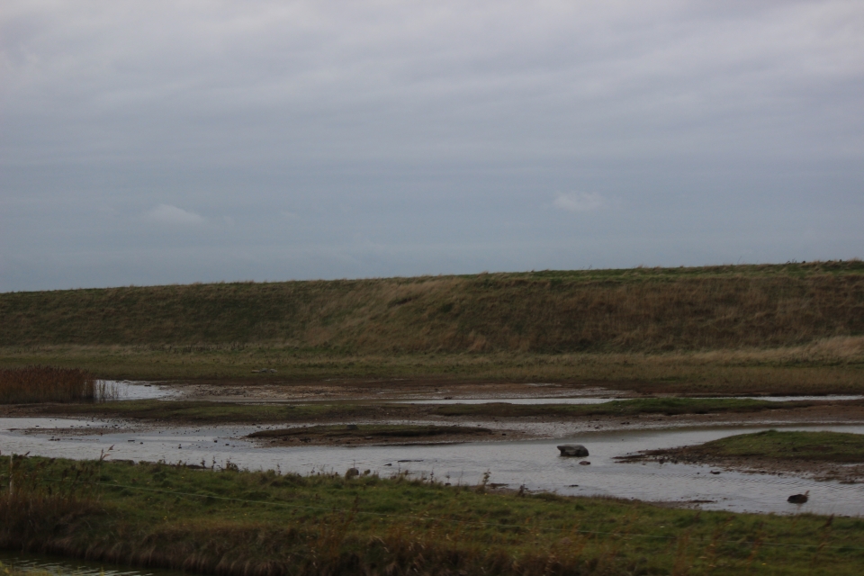Texel im Herbst 2016