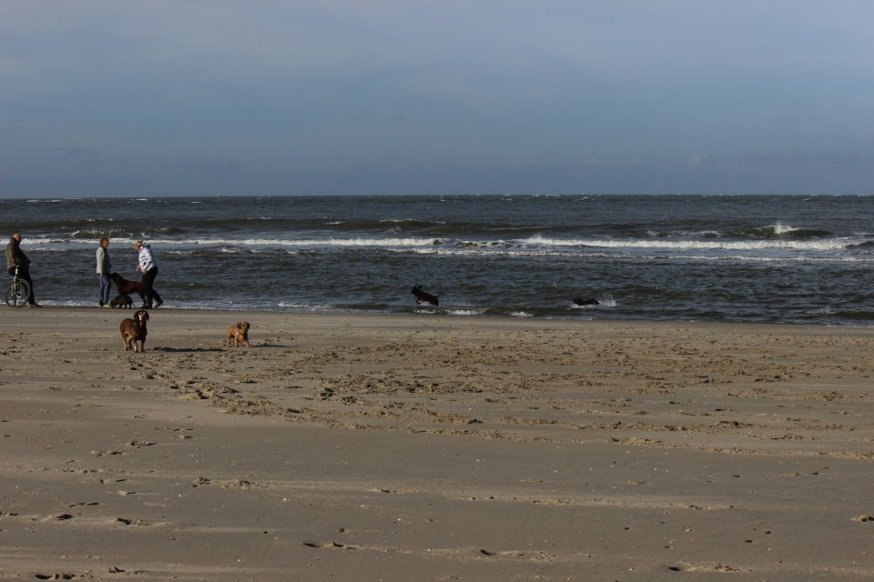 Texel im Herbst 2016